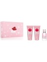 Dsquared2 Wood Pour Femme Set 3 Pezzi unisex