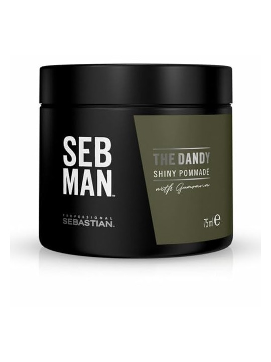 Cera Fissante Sebastian Seb Man The Dandy Shiny Pommade Fixing Wax 75ml