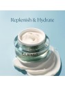 Elemis Pro-Collagen Hydrating Night Cream 50ml