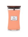 Candela WoodWick Vaso di nettare di Manuka unisex 6095g