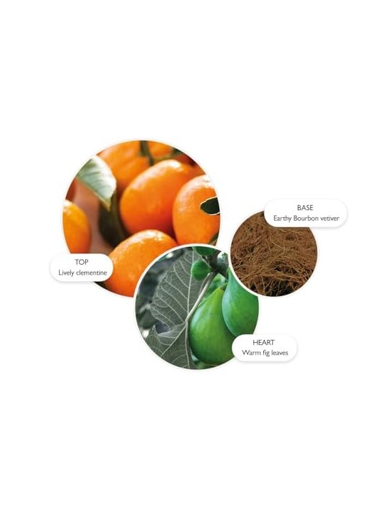 Molten Brown Sunlit Clementine & Vetiver Bath & Shower Gel