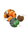 Molten Brown Sunlit Clementine & Vetiver Bath & Shower Gel