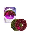 Fascia capelli donna Invisibobble Sprunchie Mystica Merry for Love
