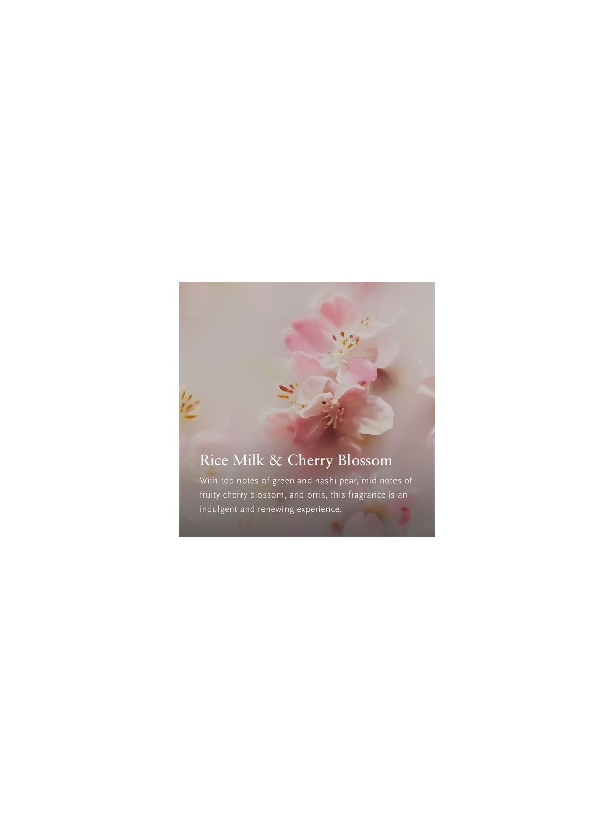 Profumo Auto Rituals The Ritual of Sakura Life Is A Journey 6g