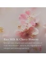 Profumo Auto Rituals The Ritual of Sakura Life Is A Journey 6g