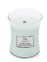 Candela legno di salvia e alghe 2750g