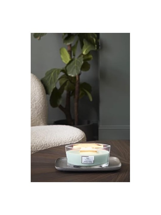 Candela legno di salvia e alghe 2750g