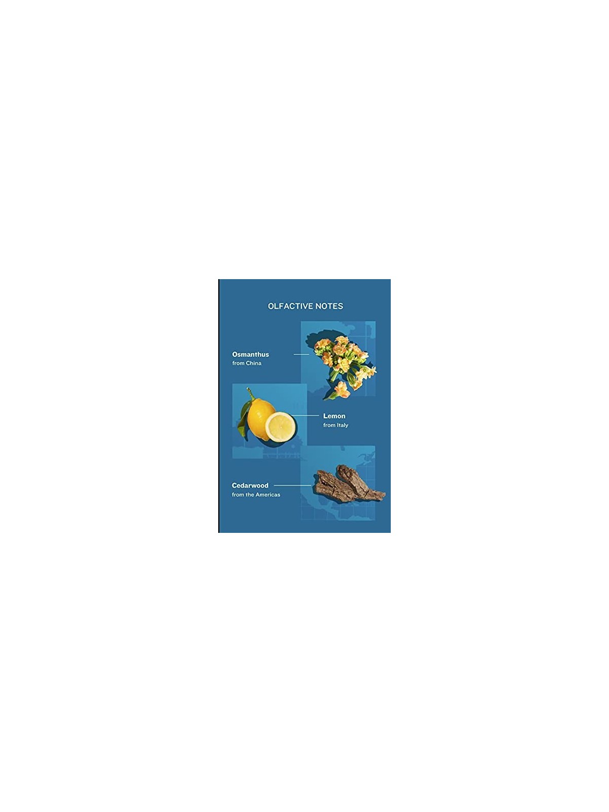 ATELIER COLOGNE Love Osmanthus Acqua di Colonia Unisex 100ml