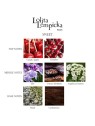 Lolita Lempicka Sweet eau de parfum Spray donna 100ml