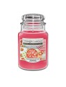 Candela profumata Fragole Confettate Yankee Candle 538.0g