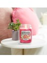 Candela profumata Fragole Confettate Yankee Candle 538.0g