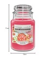 Candela profumata Fragole Confettate Yankee Candle 538.0g