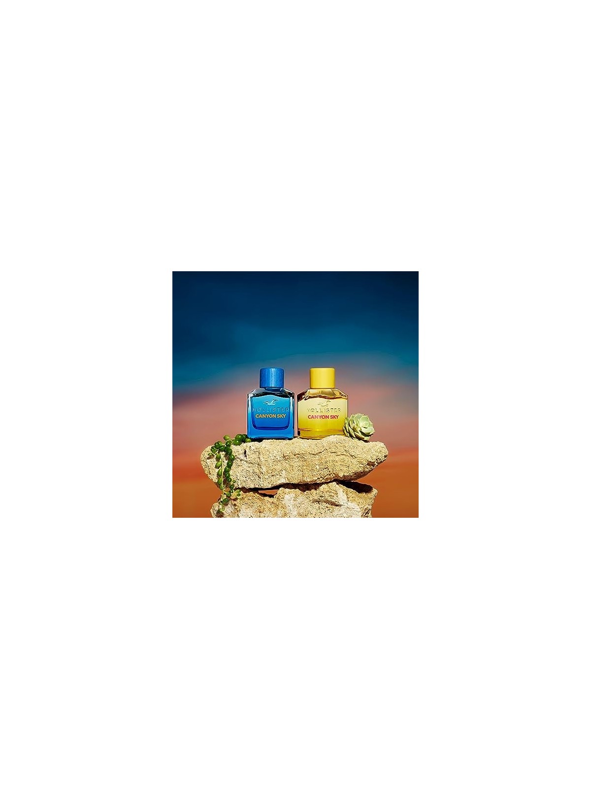 Profumo HOLLISTER Canyon Sky For Him 100ml