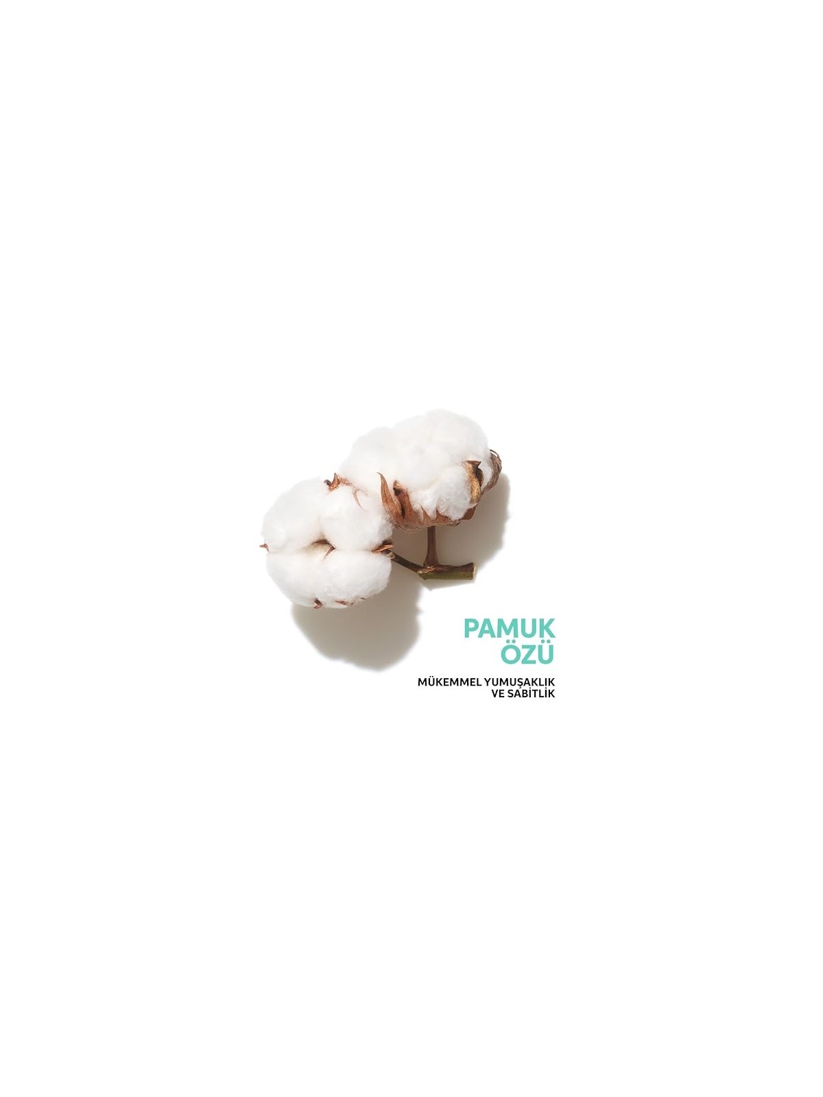 Shampoo Wella Professionals INVIGO BOOST DI VOLUME 300ml