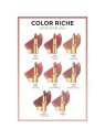 L'Orï¿½ï¿½al Color Riche Free the Nudes Rossetto cremoso idratante 520 Nu Defiant