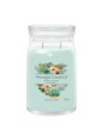 Yankee Candle Aloe Agave Candela profumata 5670g