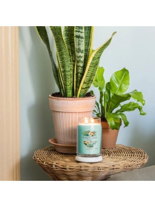 Yankee Candle Aloe Agave Candela profumata 5670g