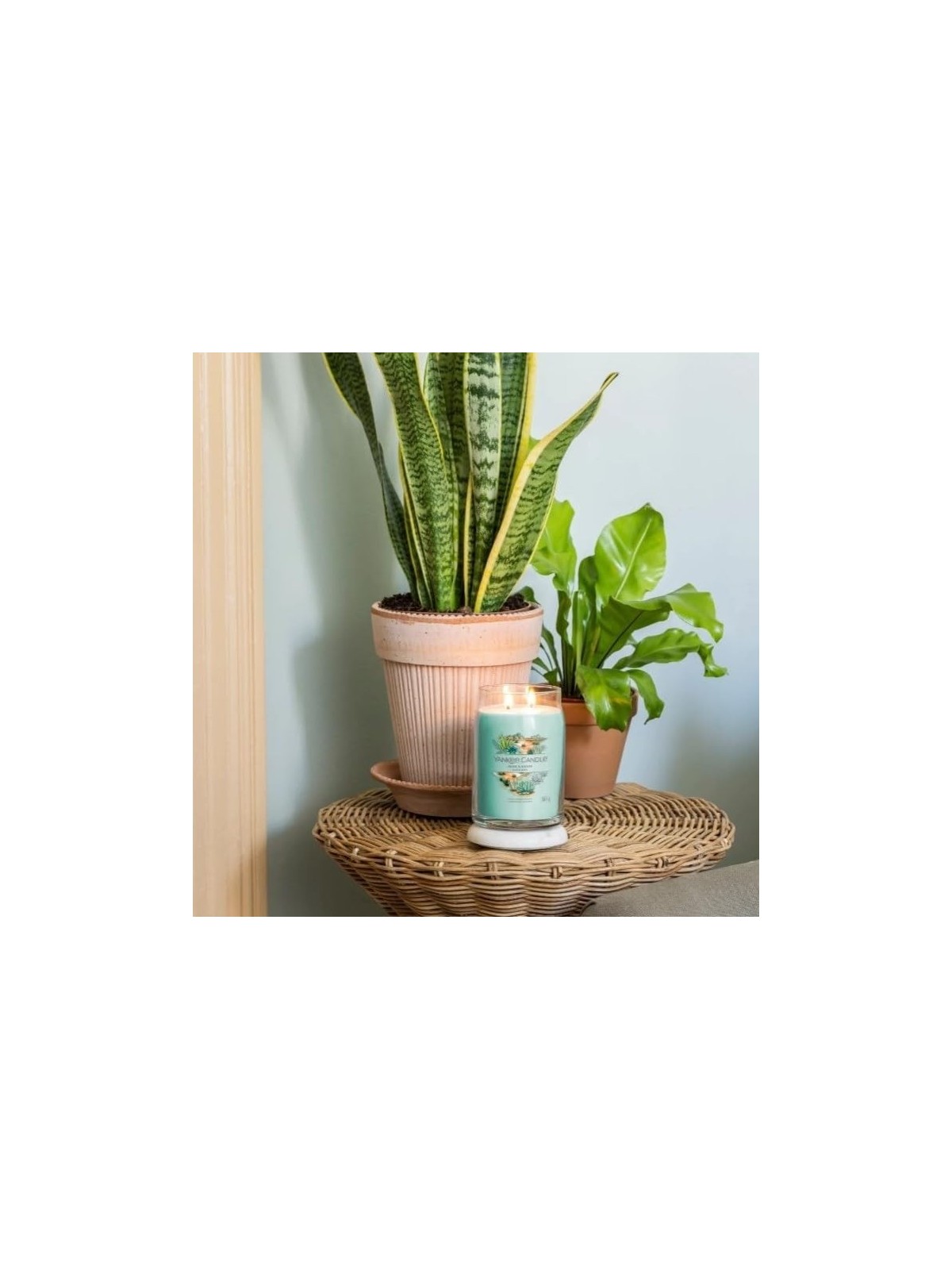Yankee Candle Aloe Agave Candela profumata 5670g