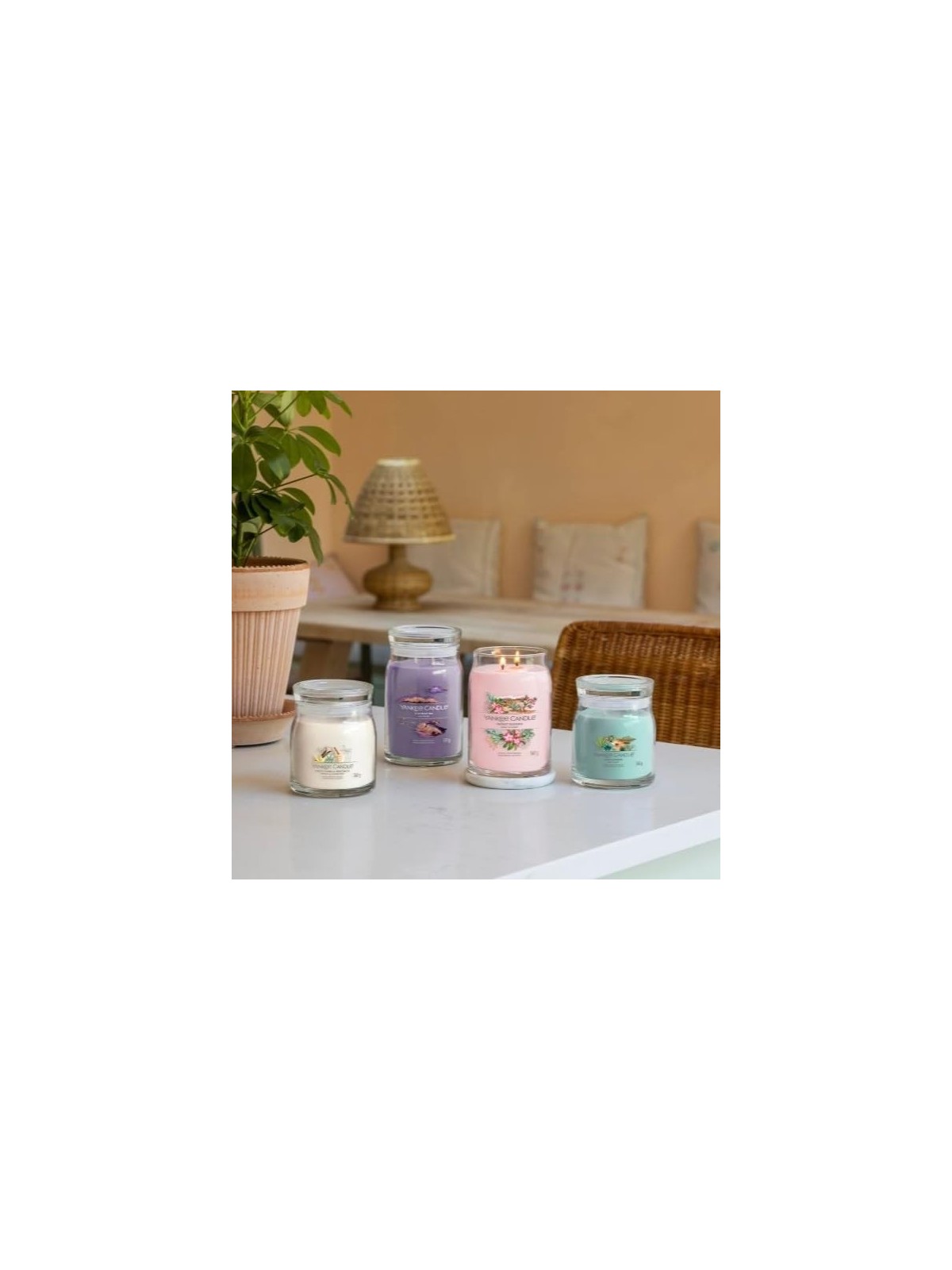 Yankee Candle Aloe Agave Candela profumata 5670g