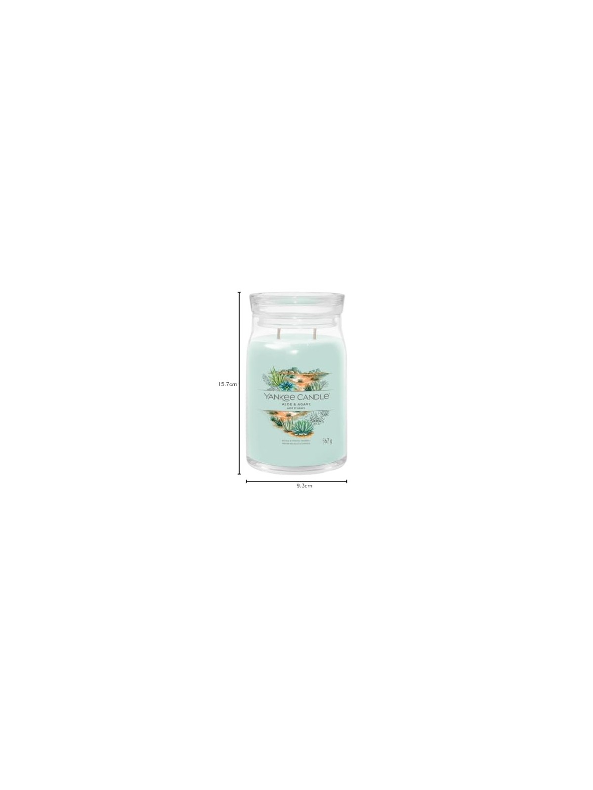 Yankee Candle Aloe Agave Candela profumata 5670g