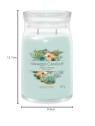 Yankee Candle Aloe Agave Candela profumata 5670g