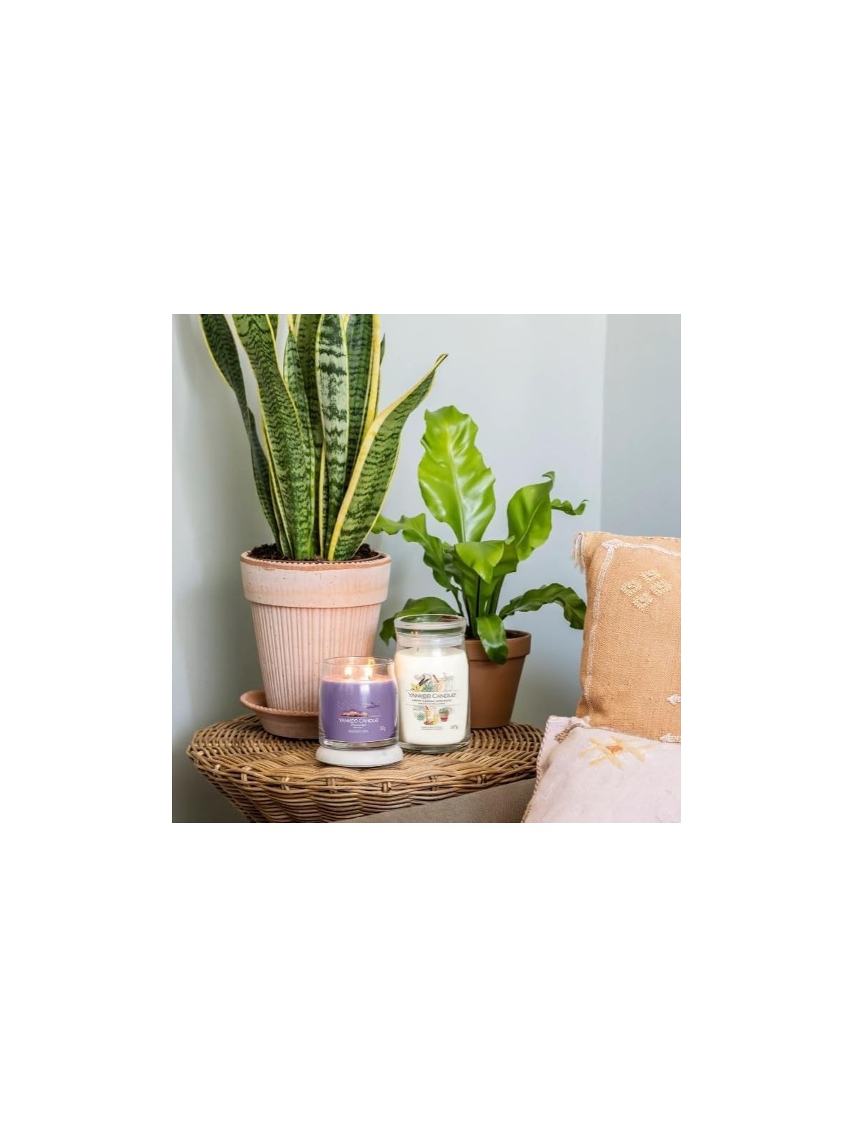 Candela Signature Stargazing