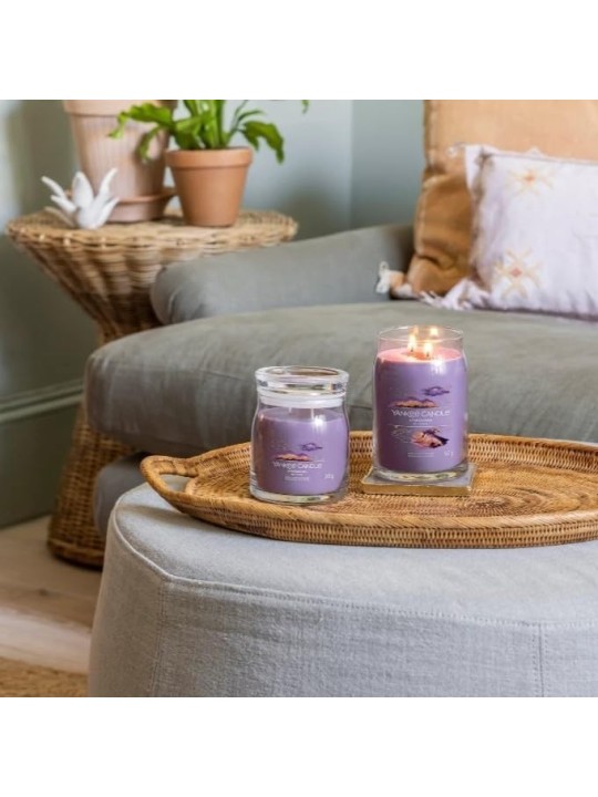 Candela Signature Stargazing