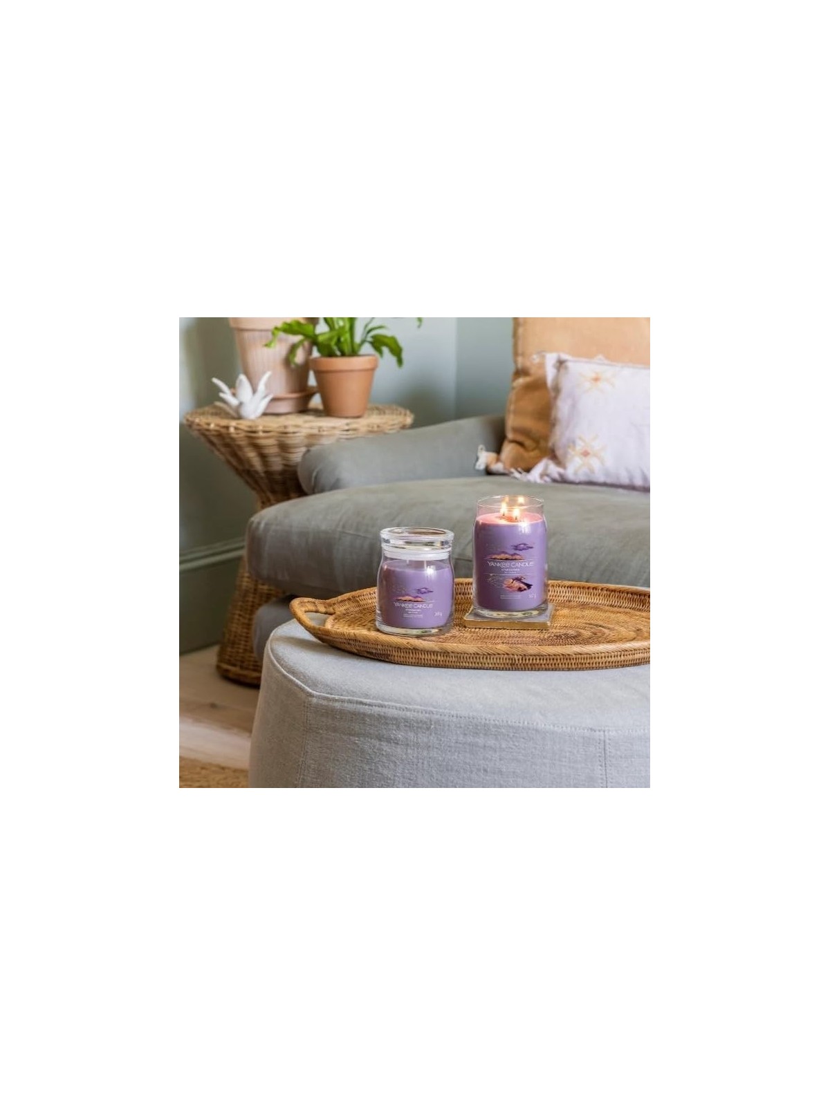 Candela Signature Stargazing