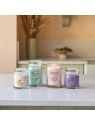 Candela profumata Sweet Vanilla Horchata Yankee Candle