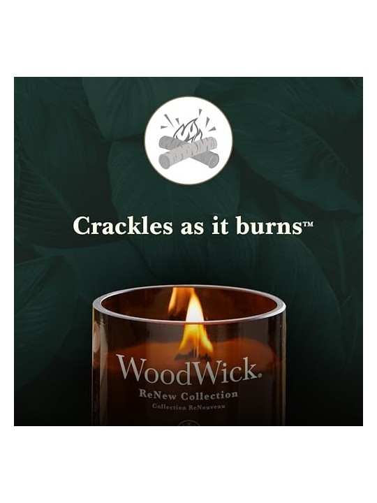 WoodWick Ginger & Turmeric Candle