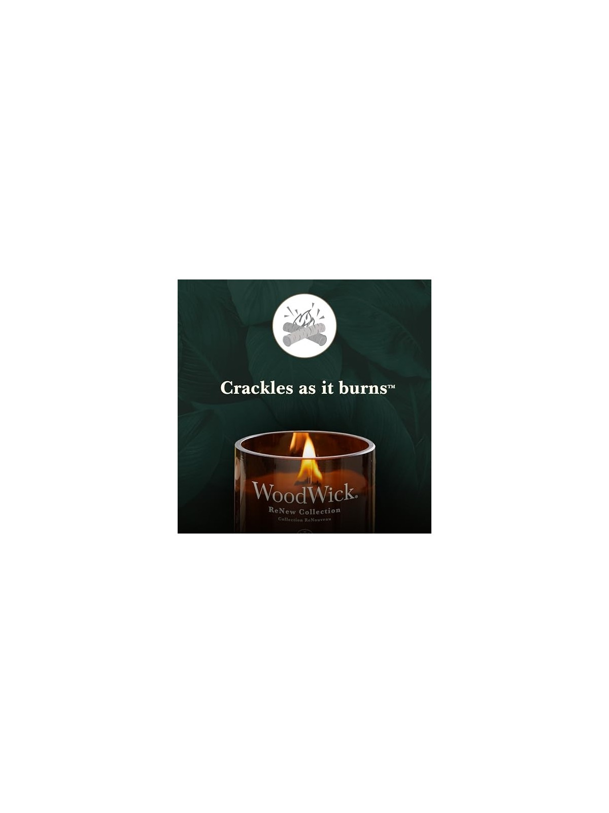 Candela WoodWick Rinnova foglia di pomodoro e basilico unisex 1840g
