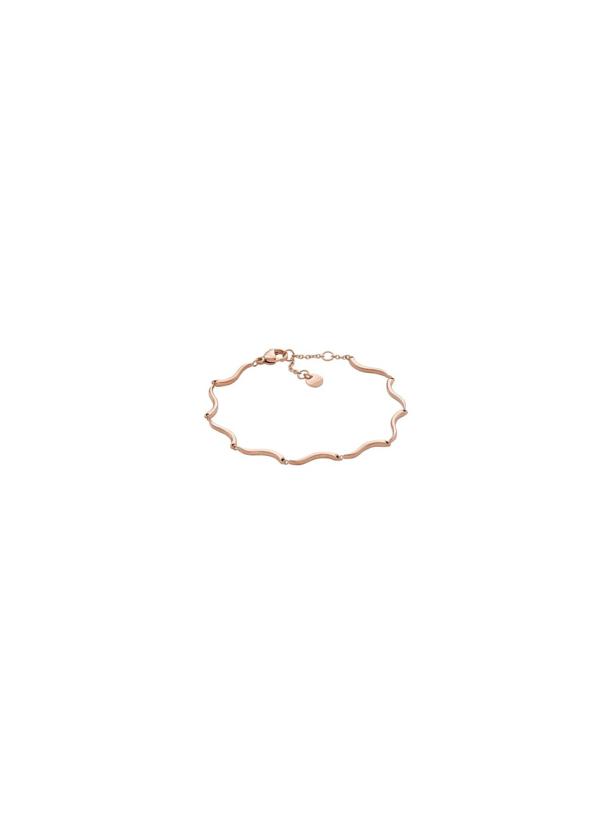 Skagen SKJ1787791 acquista 