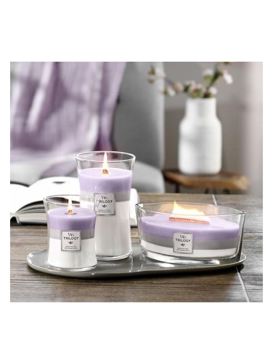 WoodWick Candela Profumata Unisex Amethyst Sky Trilogy Vase 275 0g