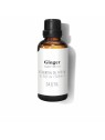 OLIO ESSENZIALE di zenzero fresco 100ml Unisex