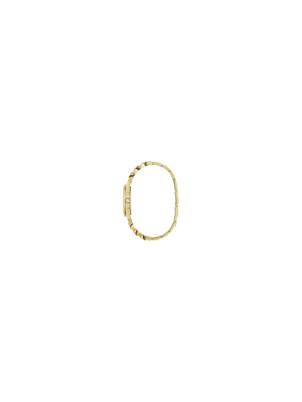Guess Trend GW0653L1 acquista 