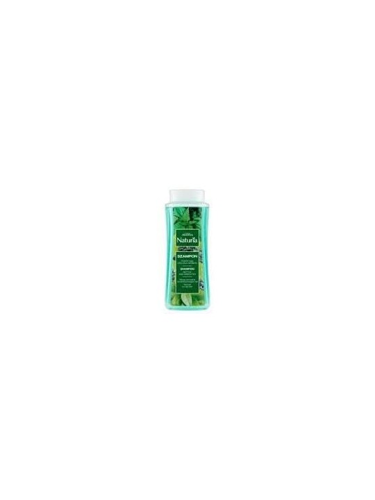 Shampoo Naturia all'Ortica e Tï¿½ï¿½ Verde 500ml