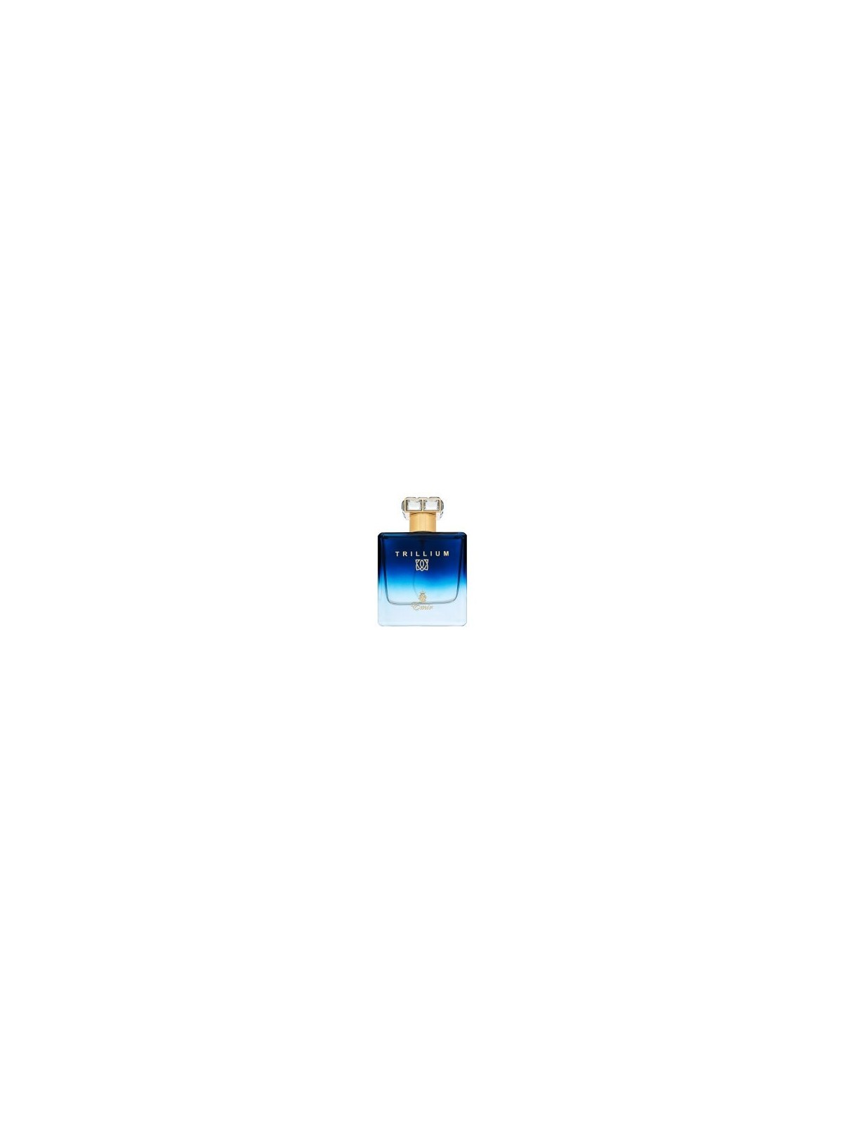 Emir Trillium Eau de Parfum Uomo 100ml