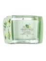 Candela Yankee Cucumber Mint Cooler 37g