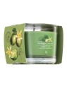 Yankee Candle Vanilla Lime 37 g