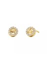 Michael Kors MKC1033AN710 acquista 