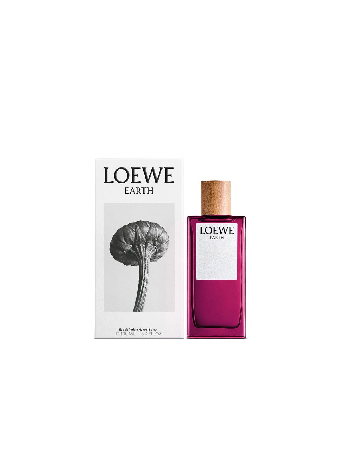 Loewe Earth Eau de Parfum Spray 100ml Unisex
