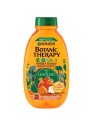 Garnier Kids Shampoo Botanic Therapy Re Leone 250ml