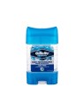 Gillette High Performance Cool Wave 70ml