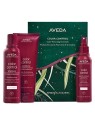 Aveda Color Control Set per capelli colorati donna