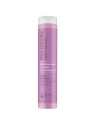 Paul Mitchell Clean Beauty Blonde Shampoo 250ml