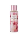 Victoria's Secret Velvet Petals Cashmere Body Spray 250ml