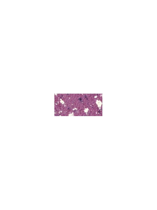 PUPA Milano Ombretti altamente pigmentati Vamp! Ombretto compatto 1,5 g - Tonalità: 101 Purple Crash - Gems donna