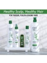 Balsamo nutriente Farouk Systems Power Plus Nourish 355 ml