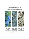 Molton Brown Festive Incense Hand Lotion 300ml