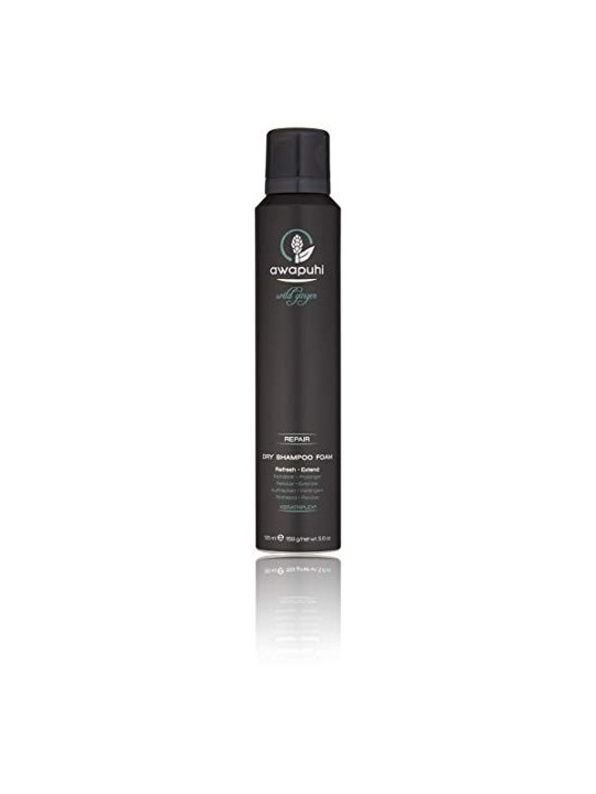 Paul Mitchell Awapuhi Wild Ginger Repair Dry Shampoo Foam